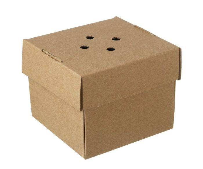 Kraft Premium Deliver Burger Box